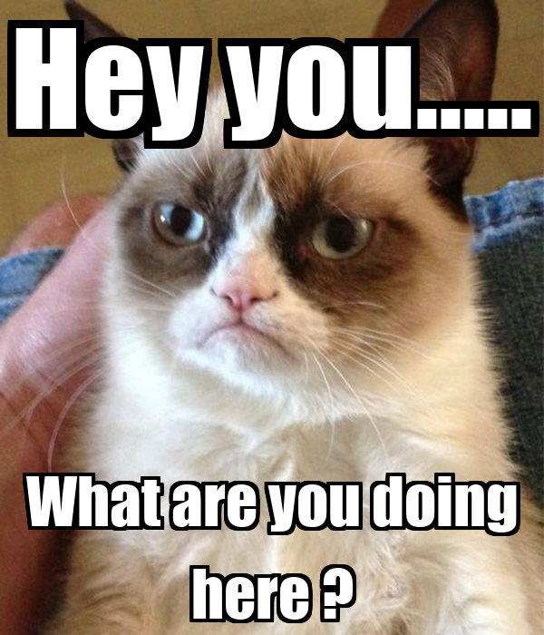 Internet meme image of a confused-looking cat with a text reading "Hey you... What are you doing here??"